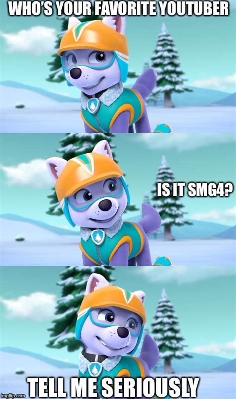 Paw Patrol Bad Pun Everest Memes Imgflip