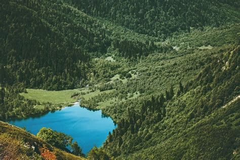 Blue Lake And Coniferous Forest Landscape Stock Photo Image Of Aerial