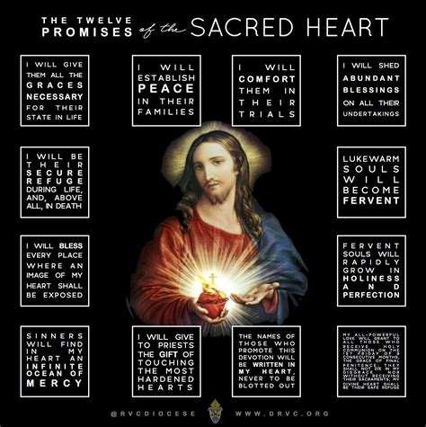 Diocese Of Rockville Centre On Twitter Sacred Heart Diocese Catechesis