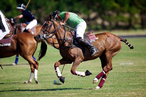 polo sport a cheval - Get Fit Stay Fit