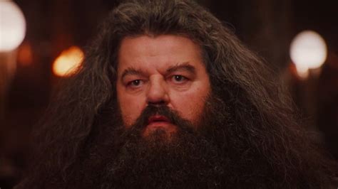 The Only Animal Hagrid From Harry Potter Was Not A Fan Of