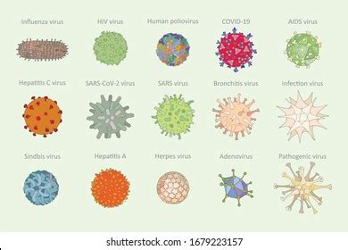 Types Virus Images, Stock Photos & Vectors | Shutterstock