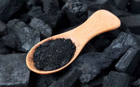 Benefits Of Charcoal For Plants And Agriculture Us Tech