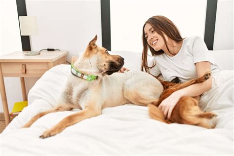 Young Hispanic Woman Playing With Dogs Lying On Bed At Bedroom Stock
