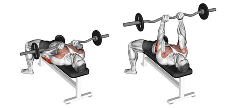 I recommend performing it as either the first or second exercise in your arm regime. EZ Bar Close Grip Bench Press: The "Power" Tricep Exercise