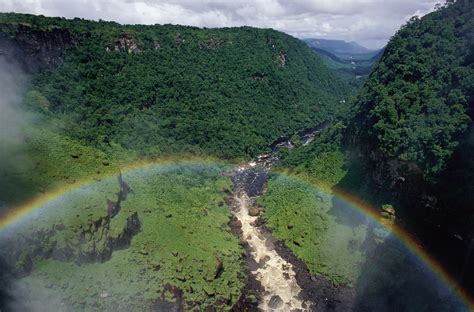 Amazonas Un Patrimonio Compartido Wwf