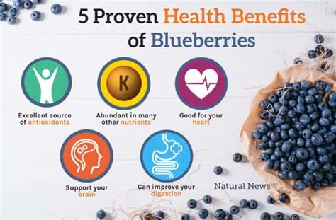 5 Proven Health Benefits Of Blueberries Jennies Macaroons