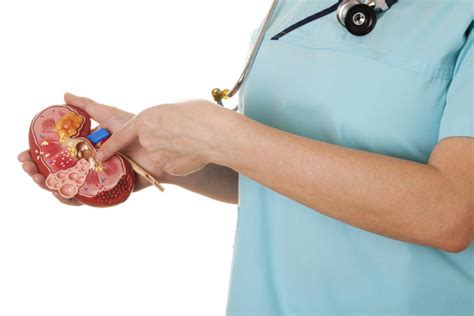 Kidney Cysts Symptoms Diagnosis And Treatment