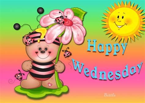 Cute Wednesday Lady Bug Bear Pictures Photos And Images