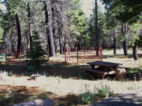 Modoc National Forest East Creek Campground