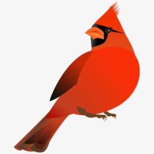 Cardinal clipart svg, Cardinal svg Transparent FREE for download on