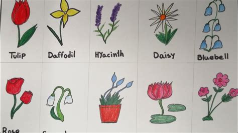 How To Draw Different Types Of Flowers How To Draw And Coloring Flowers
