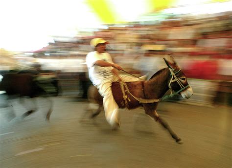 Mexican Rides A Donkey Photograph By Henry Romero Fine Art America