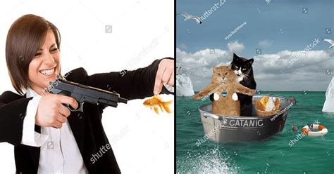 23 Weird Af Stock Photos That Will Leave You With Questions Memebase