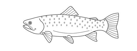 Salmon Coloring Pages Learny Kids