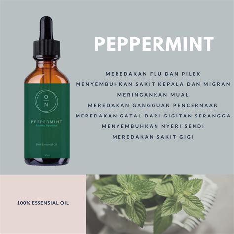 Jual Peppermint Essential Oil Minyak Daun Mint Essentials Oil