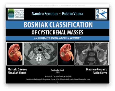 Download Bosniak Classification V2019 Ebook Pdf