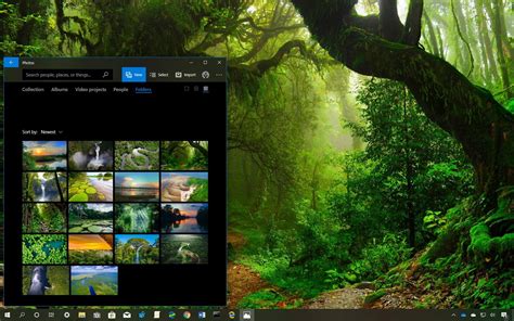 Download Free Themes For Windows Yellowraw