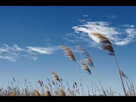 El aire. - YouTube
