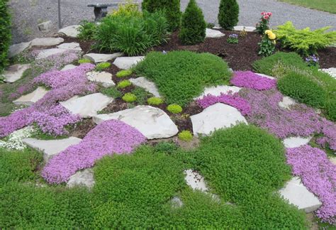 For a successful project, you must have the right soil and plants and know how to arrange them. Easy Rock Garden Ideas Photograph | Garden Dream: June 2010