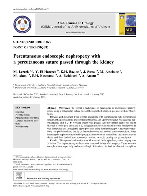 Pdf Percutaneous Endoscopic Nephropexy With A Percutaneous Suture