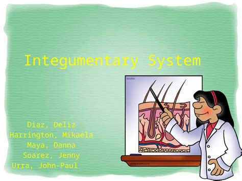 Pptx Integumentary System Diaz Deliz Harrington Mikaela Maya Danna