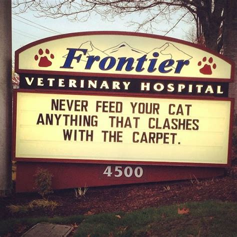 15 Of The Funniest Vet Signs About Cats Funny Cat Jokes Cat Jokes