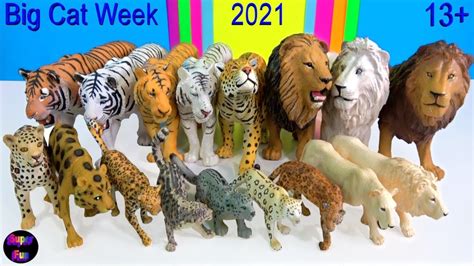 Big Cat Week 2021 Lion Tiger Jaguar Leopard Snow Leopard 13