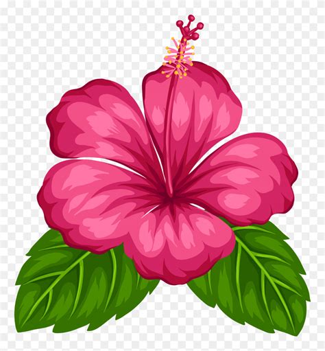 Exotic Flower Png Clip Art Show And Tell Clipart Flyclipart