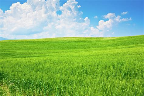 Beautiful Outdoor Green Field View With Photograph By Zonecreative