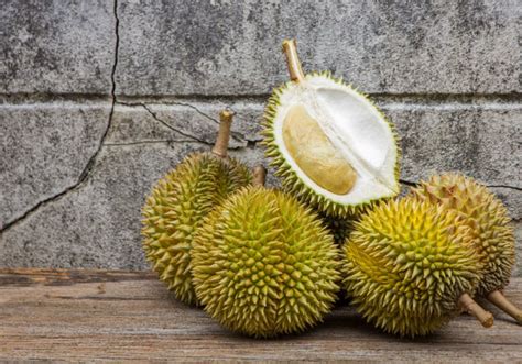 Ibu hamil makan durian memang memiliki banyak nutrisi, namun juga memiliki efek positif dan negatifnya bagi ibu dan perkembangan janin. Bolehkah Ibu Hamil Makan Durian? - Menara62