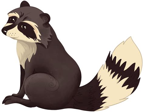 Raccoon Clipart Vectors And Illustrations For Free Download Clipart