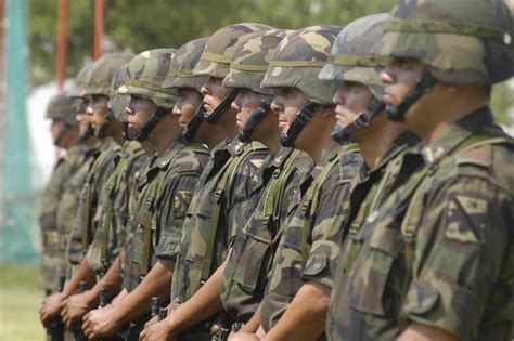 Hoy Es Día Del Ejército Mexicano Plumas Libres