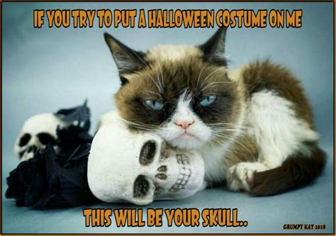 Another Grumpy Cat Meme By The Other Grumpy Kat 2018 Costume N A Skull