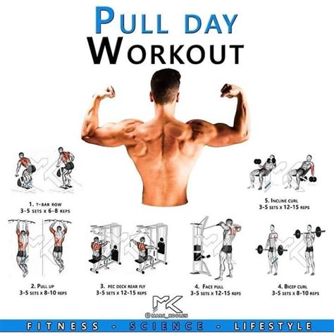 Incredible Best Pull Day Workout Routine For Gym At Home Healthy
