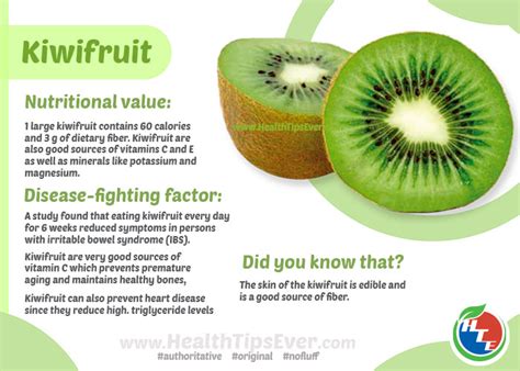 Kiwifruit Health Benefits With Infographics Health Tips Ever Magazine
