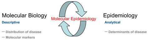 Definition Of Molecular Epidemiology Spanning The Disciplines Of Download Scientific Diagram