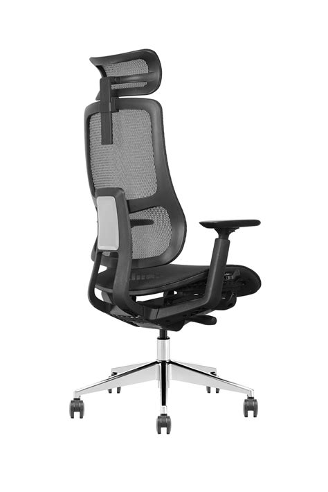 Back Adjustable Ergonomic Office Chair丨 Vaseat Furniture