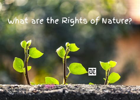 What Are The Rights Of Nature Different Truths