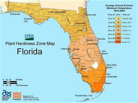 Florida Growing Zones Map Free Printable Maps My XXX Hot Girl