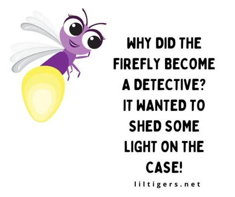 60 Fun Firefly Jokes And Puns Lil Tigers