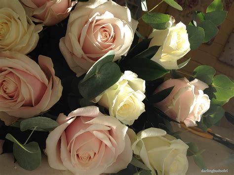 Sweet Avalanche Roses Blush Wedding Inspiration Rose Flowers