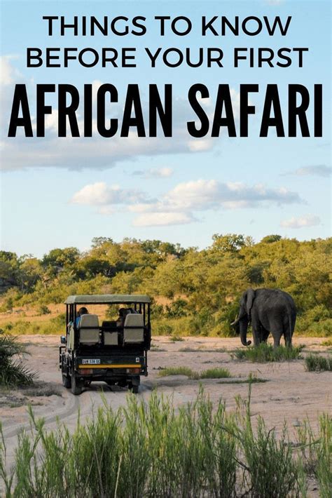Things To Know Before You Travel To Africa For Your First Safari