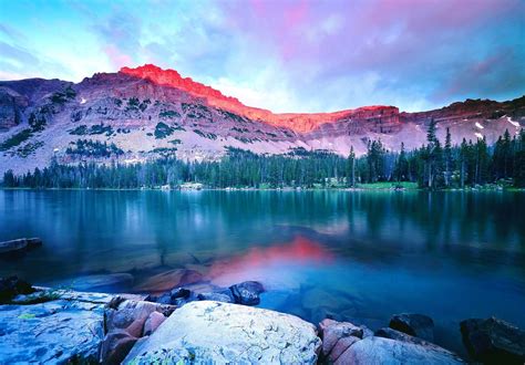 Online Crop Green Pine Tree Nature Sunset Mountains Lake Hd