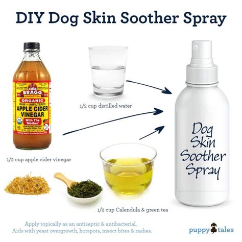 Often the best means of providing for a dog with special dietary needs is cooking homemade dog food. Great Home Made Spray for an Itchy Dog- DogsFirstIreland ...