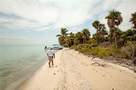 Leonardo Dicaprio Builds An Eco Resort The New York Times