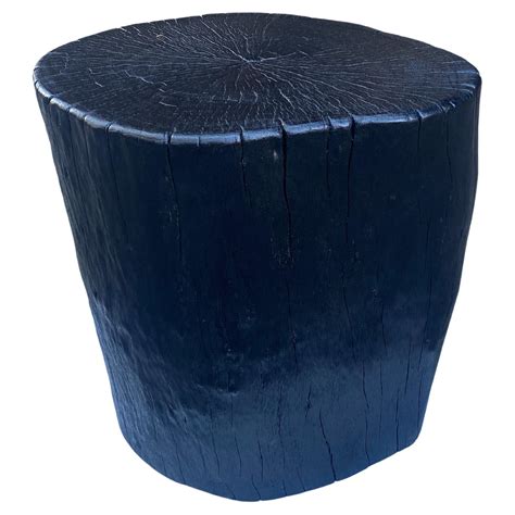 Andrianna Shamaris Amorphous Charred Lychee Wood Side Table For Sale At