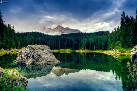 Lago En El Bosque