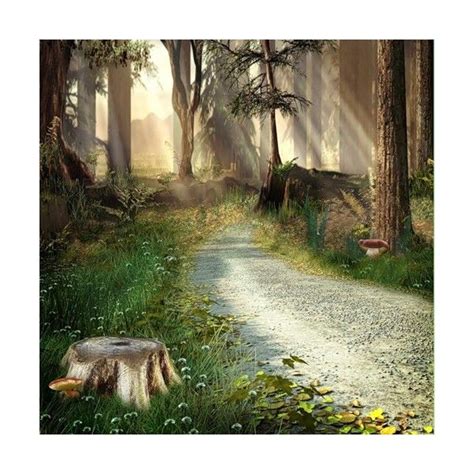 Forest Photography Fantasy Photography Background For Photography