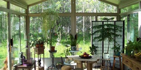 The 5 Best Plants To Grow In Your Sunroom Patio Solutions